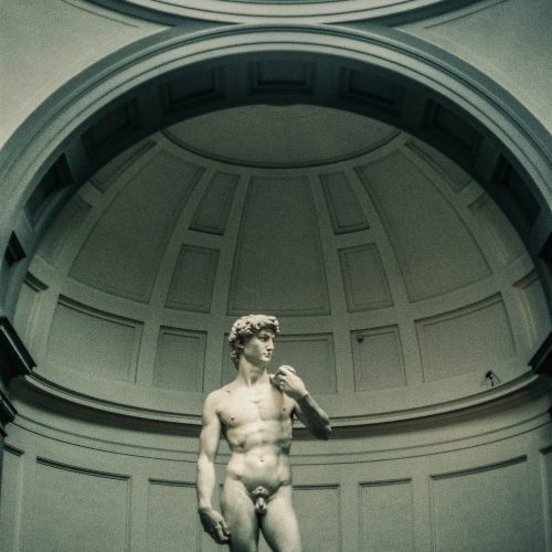 Michelangelo's David Accademy