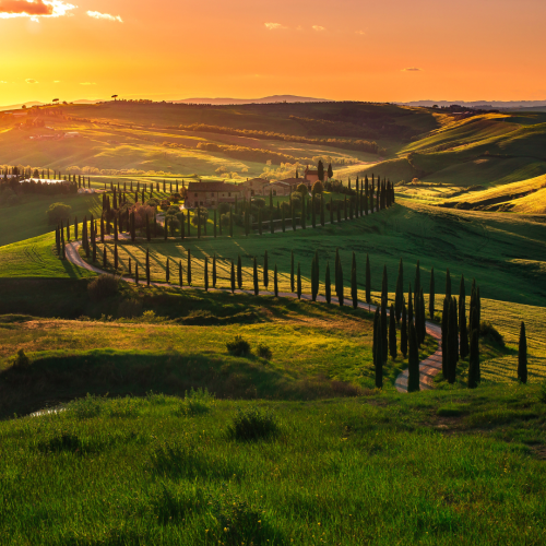 siena-img-1